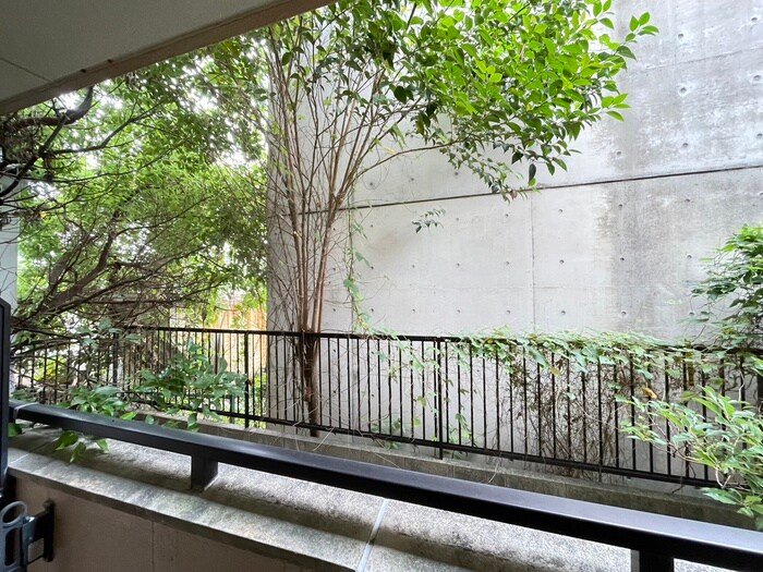 物件内観写真22　(室内からの展望)