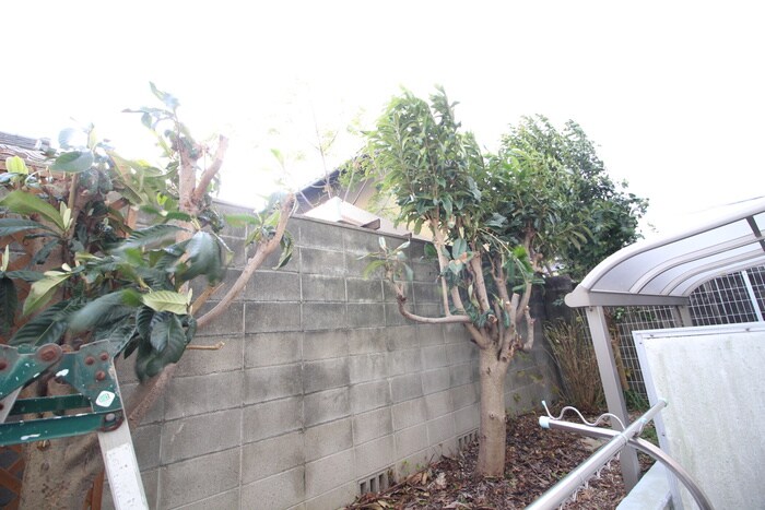 物件内観写真22　(室内からの展望)