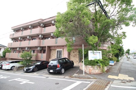 メゾンドセリ－ヌ外観写真