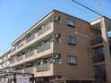 リンピア牟都志