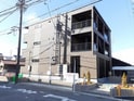 アルドーレ・Y