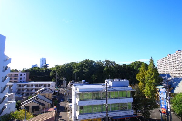 室内からの展望
