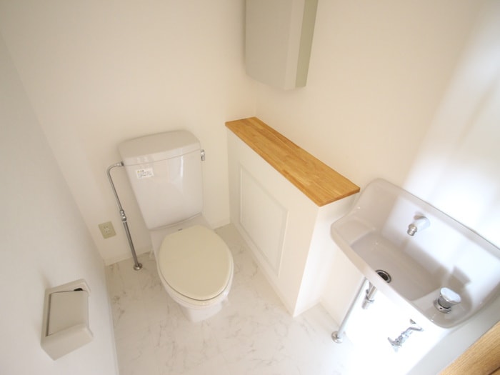 物件内観写真10　(トイレ)