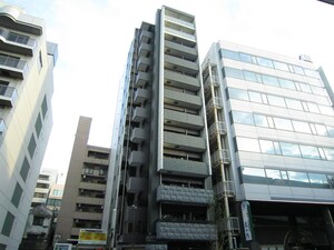 ﾌﾟﾚｻﾝｽ丸の内雅殿(801)外観写真