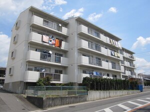 ﾊﾟ-ｸﾊｲﾂ毘森外観写真