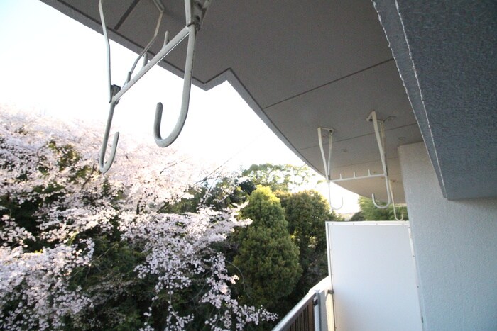 物件内観写真16　(ベランダ・バルコニー)