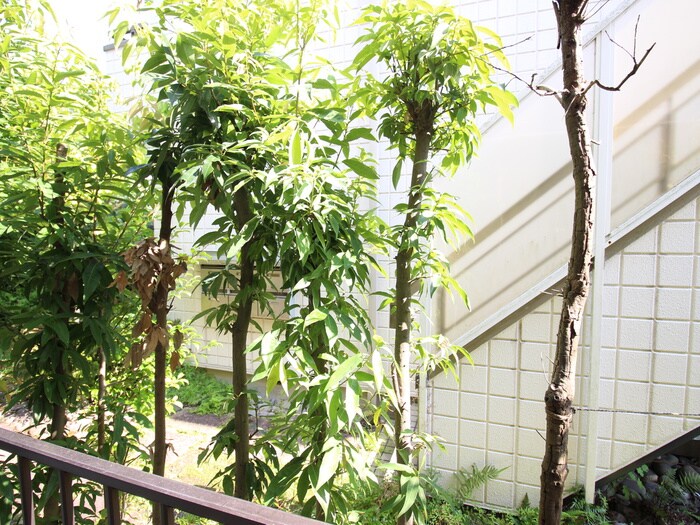 物件内観写真21　(室内からの展望)