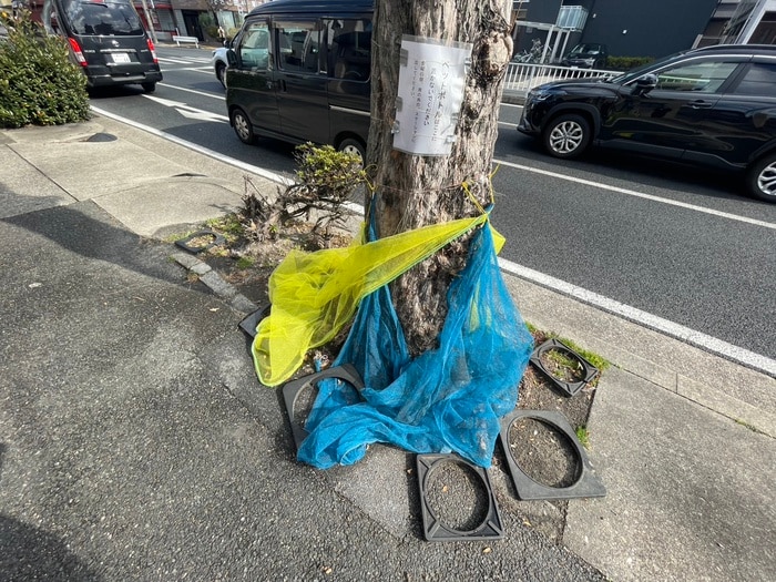 物件外観写真4　(その他)