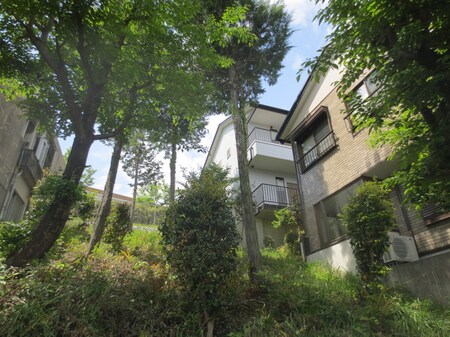 スタディー　ドーム外観写真