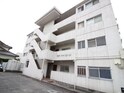 ﾌﾞﾙｰﾃﾞﾙ東一社