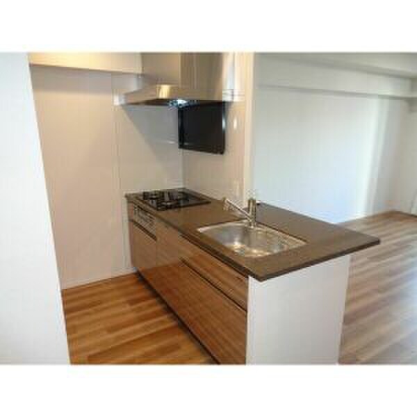 物件内観写真4　(キッチン)