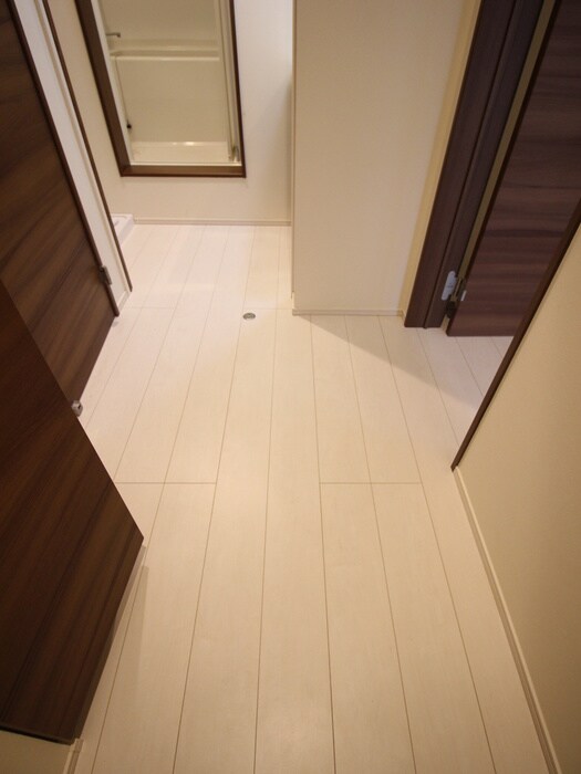 物件内観写真3　(廊下)