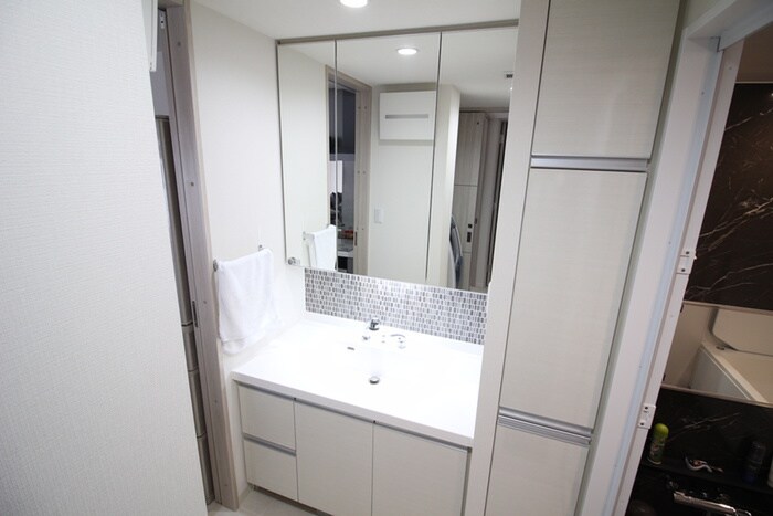 プレサンスロジェ豊田ＣＬ(1003)の洗面