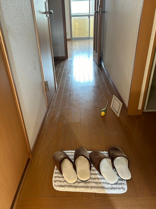 物件内観写真8　(廊下)