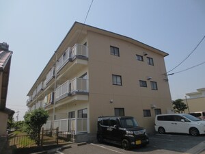 メゾン新日本外観写真