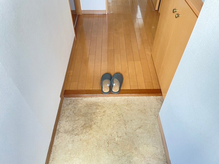 物件内観写真19　(玄関)