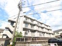 ニュ－コ－ポ　イト－