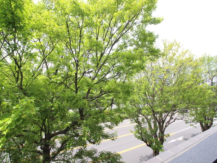 物件内観写真22　(室内からの展望)