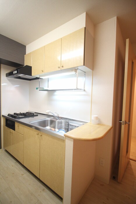 物件内観写真10　(キッチン)