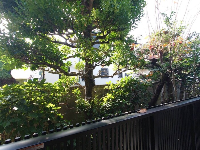 物件内観写真17　(室内からの展望)