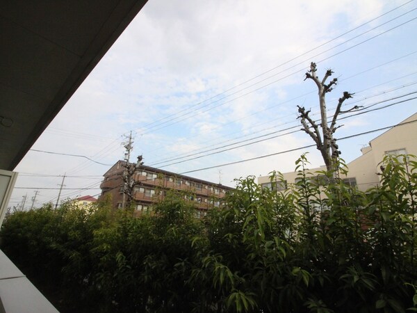 室内からの展望