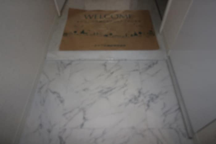 物件内観写真21　(玄関)