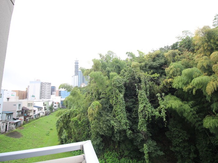 物件内観写真16　(室内からの展望)