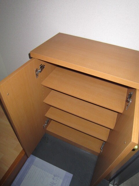物件内観写真10　(靴箱)