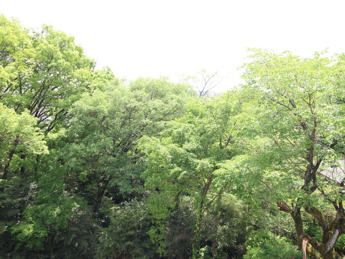 物件内観写真22　(室内からの展望)