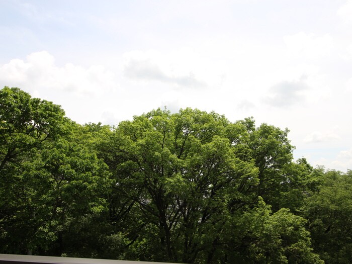 物件内観写真21　(室内からの展望)