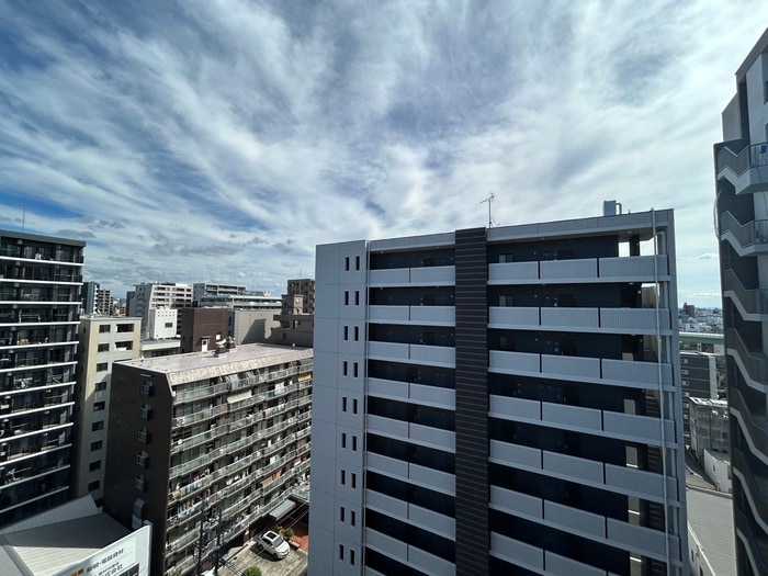 物件内観写真20　(室内からの展望)