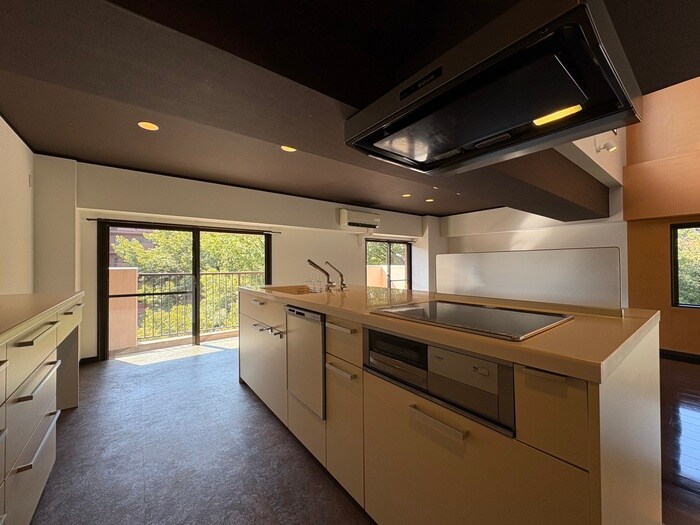 物件内観写真10　(キッチン)