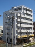 キクシンビル