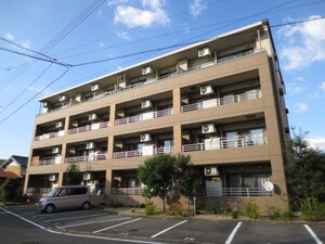 エル－デメイファ外観写真