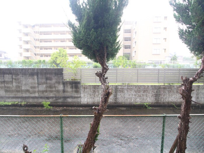 物件内観写真20　(室内からの展望)