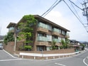 蜂の樹
