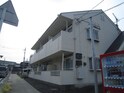 ツインズ野村
