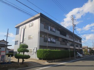 松が根グリーンコーポ外観写真