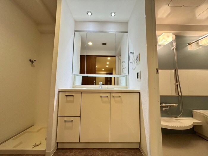 物件内観写真10　(洗面)