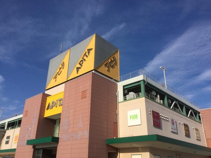 アピタ安城南店