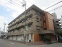 Fila　Alta庄内通