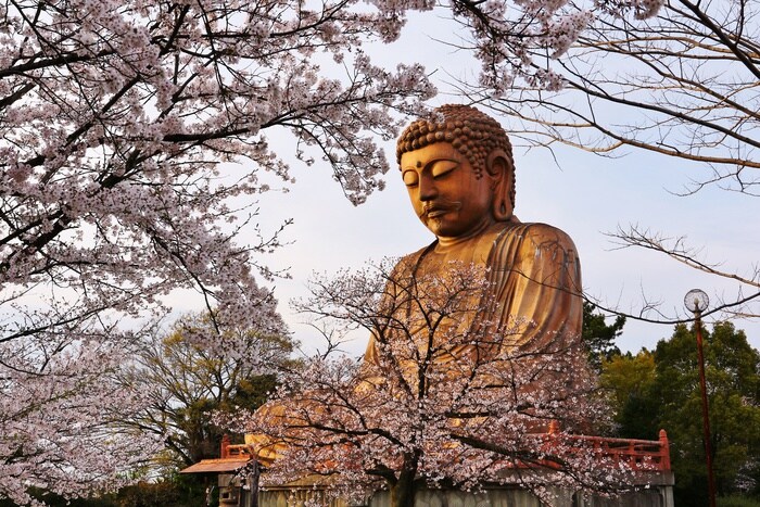 しあわせ村(聚楽園公園)