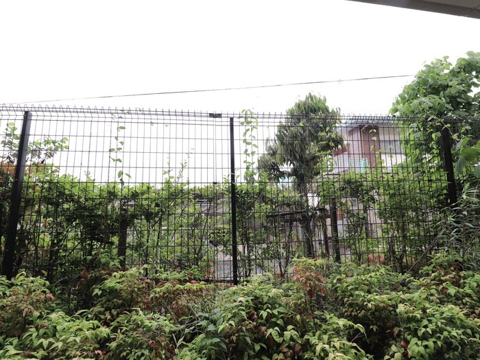 物件内観写真22　(周辺環境)