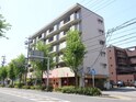 オリンピア ７５