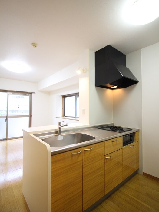 物件内観写真10　(キッチン)