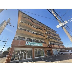 シャインハイツ入場外観写真