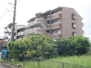 カーサマリアーニ外観写真