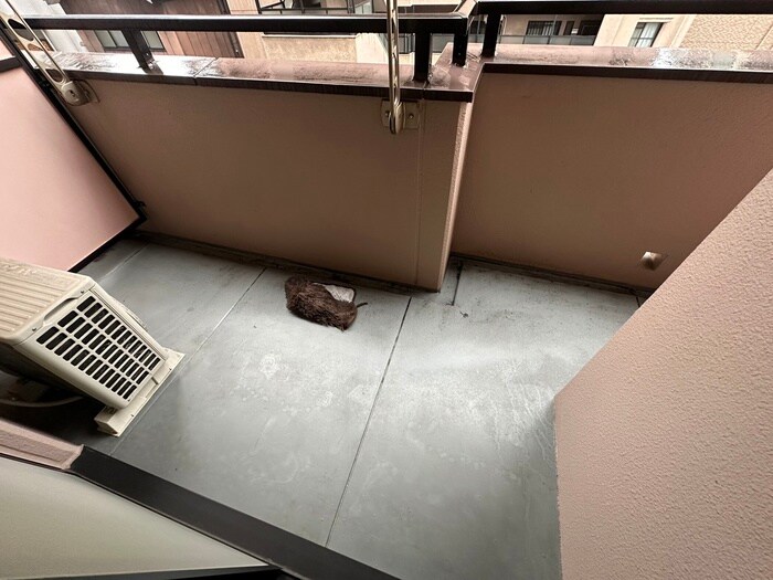 物件内観写真21　(ベランダ・バルコニー)