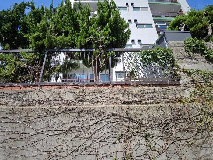 物件内観写真14　(室内からの展望)