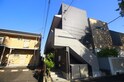 Solea
